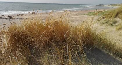 " Fitsch@sea" Cozy vacation home in the park "De Kreek" - Free WLAN