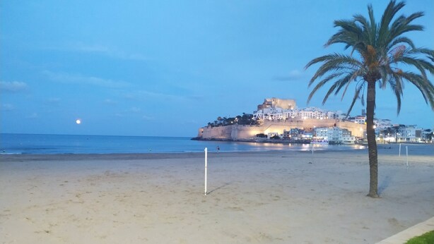 A beach with a palm tree, a fort-like structure, and a calm sea. - Family friendly, parking, beach, high-speed wifi, excursions, sea view ... (Peñíscola)