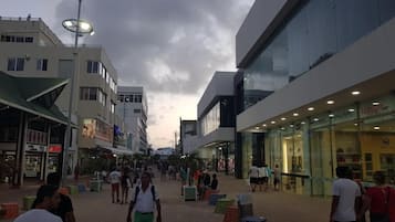 Fyrir utan