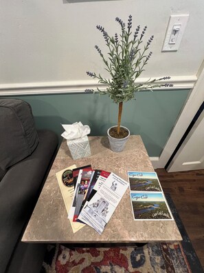 Cozy living area with a green accent wall, featuring a potted plant, a coffee table, and a patterned rug.