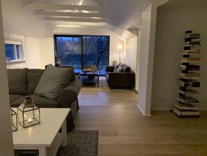 Smart-TV, Kamin, Netflix, Bücher