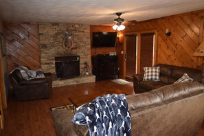 Télévision, cheminée, jeux vidéo, lecteur de DVD