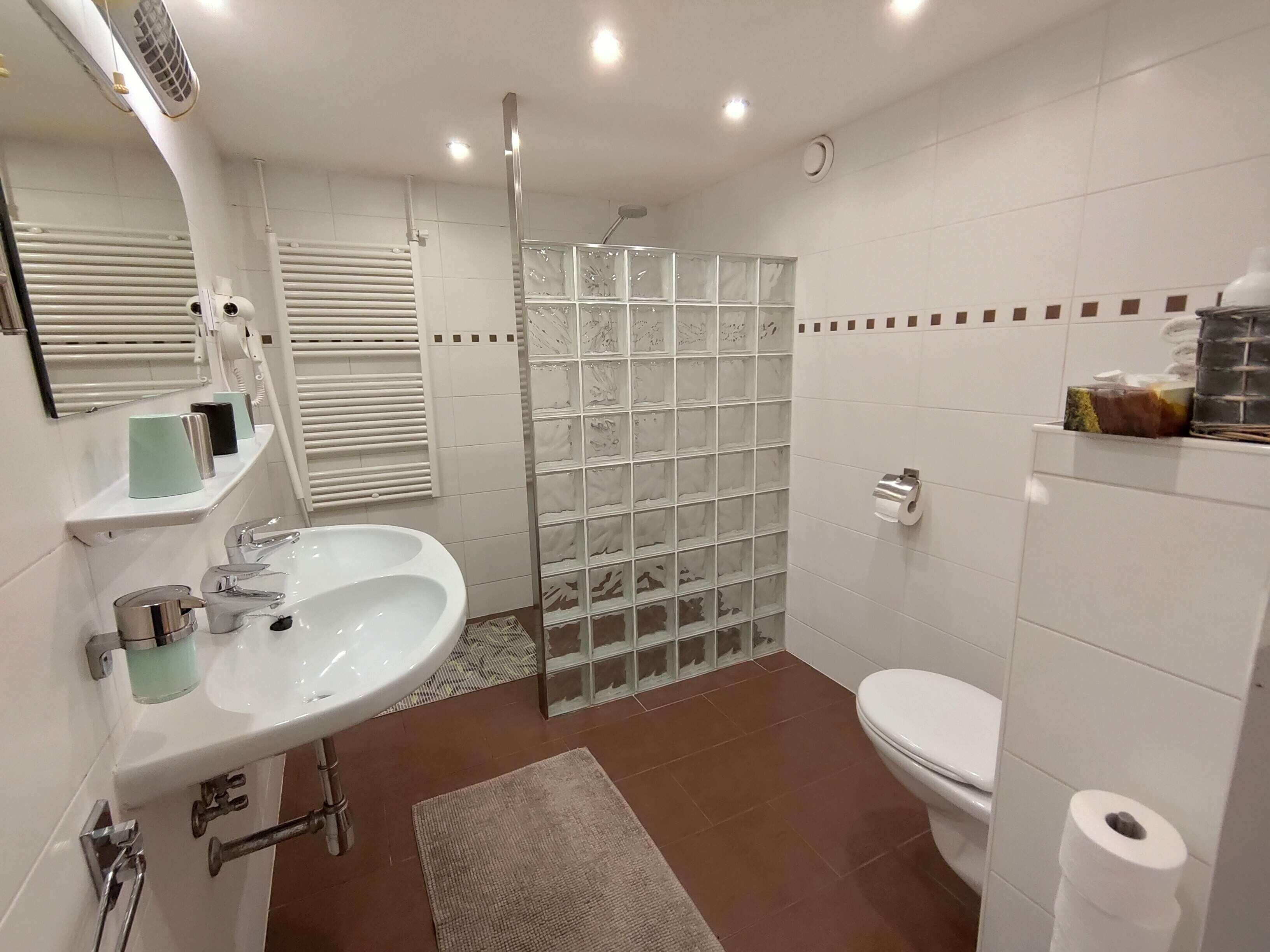 Shower, hair dryer, bathrobes, slippers