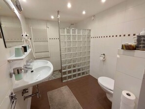 Shower, hair dryer, bathrobes, slippers