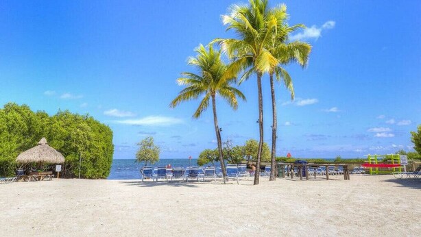 A beach with palm trees, a thatched-roof hut, and beach chairs.