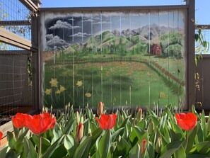 Property grounds - The Cliff House A in McMinnville, Oregon's Wine Country (McMinnville)