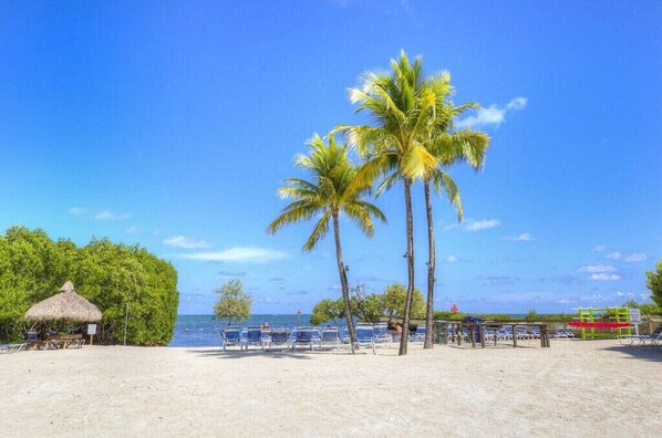 On the beach, sun-loungers