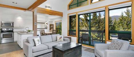 TV, fireplace, offices