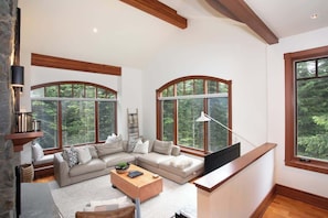 TV, fireplace, offices