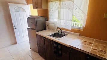 Appartement Standard, 1 grand lit, non-fumeurs, vue montagne | Cuisine privée | Réfrigérateur, micro-ondes, four, plaque de cuisson