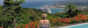A person overlooking a coastal area with a cruise ship, lush greenery, and a swimming pool. - Spring Palm Estate (Tower Isle)