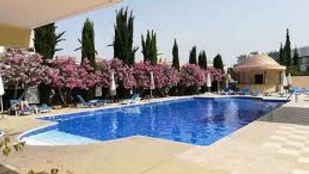 Une piscine dotée d’une terrasse carrelée, entourée de cyprès et d’arbustes à fleurs roses.