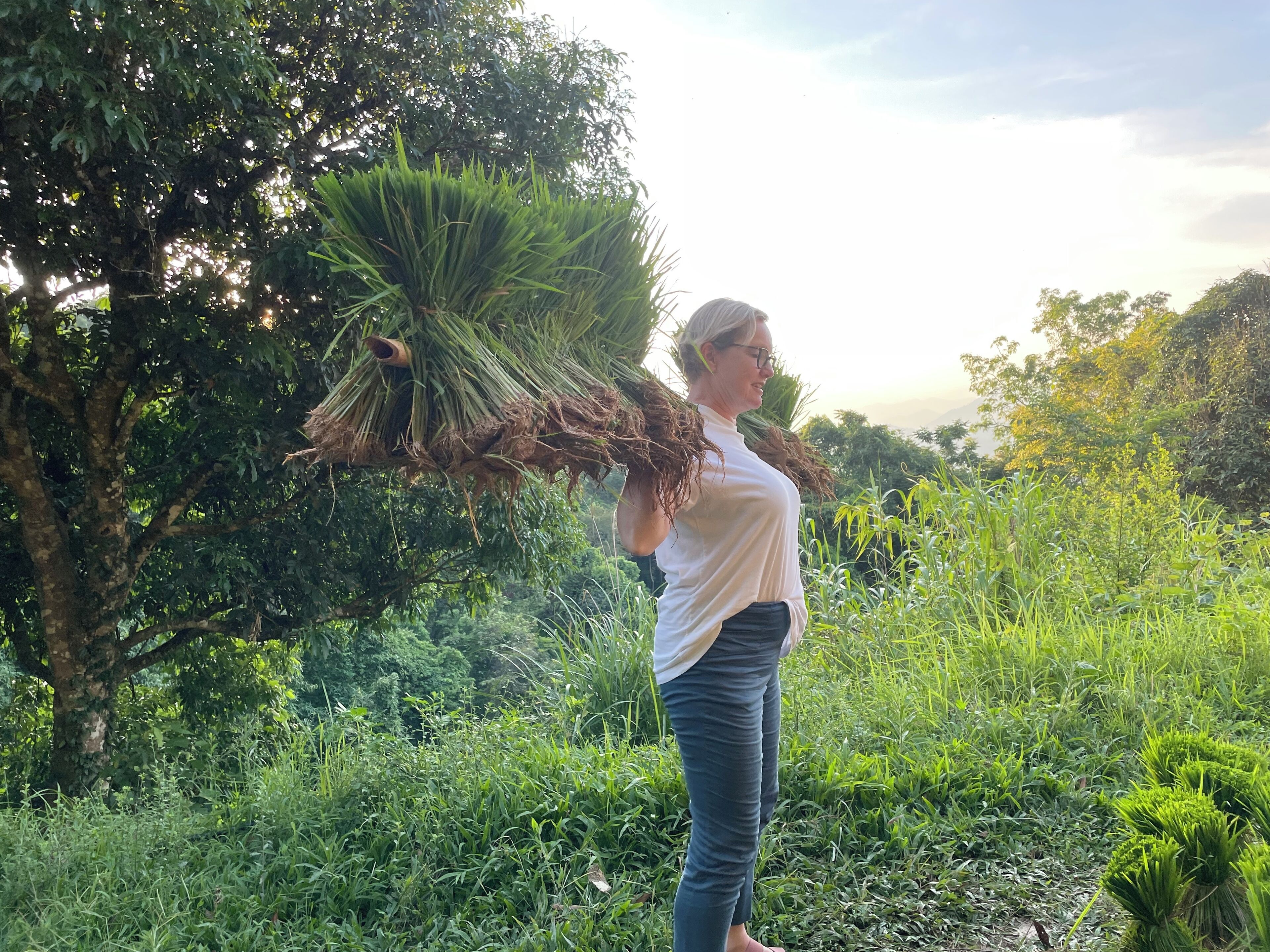 A person carrying a large bundle of palm fronds in a lush, green outdoor setting.