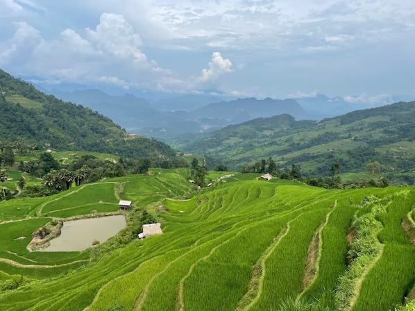 Exterior - Bao Lac Homestay & Hostel (Bao Lac)