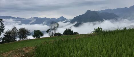 숙박 시설 정면