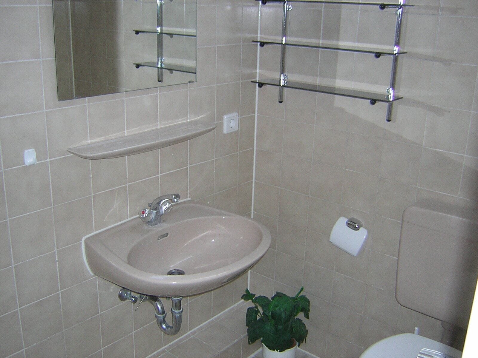 A bathroom with a sink, mirror, shelves, and a toilet.