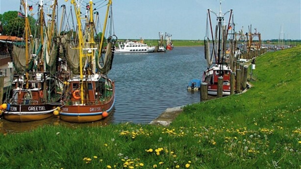 Un port où de nombreux bateaux de pêche sont amarrés le long de la côte, un plus grand navire en arrière-plan et une zone herbeuse parsemée de fleurs jaunes au premier plan.