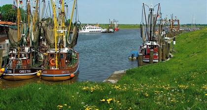 Campen Cottage - relaxed, rustic cottage in shabby chic style near the coast