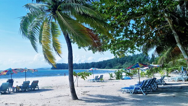 Ein Strand mit Liegestühlen und Sonnenschirmen, Palmen und Blick aufs Meer.