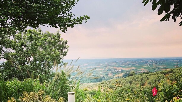 Un giardino con diverse piante e fiori, un supporto in metallo e vista su una valle con edifici in lontananza.