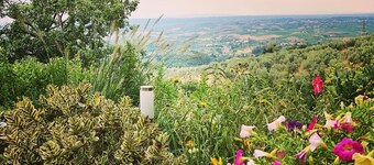 Villa Vestra in Vinci holiday home