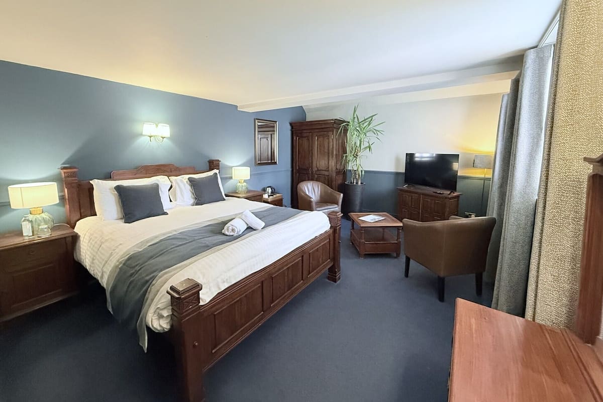 A hotel room with a large bed, a TV, a desk, a chair, and a plant.