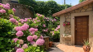 Ein Steinhaus mit einer Holztür, umgeben von üppigem Grün und rosa Hortensienblüten.