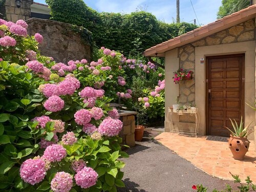 Sasueta Manor House 5 minutes from downtown