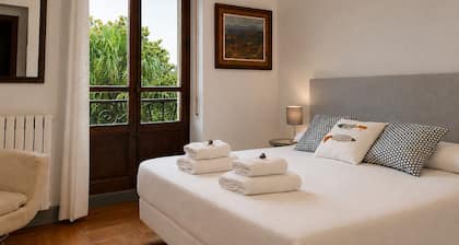 Sasueta Manor House 5 minutes from downtown