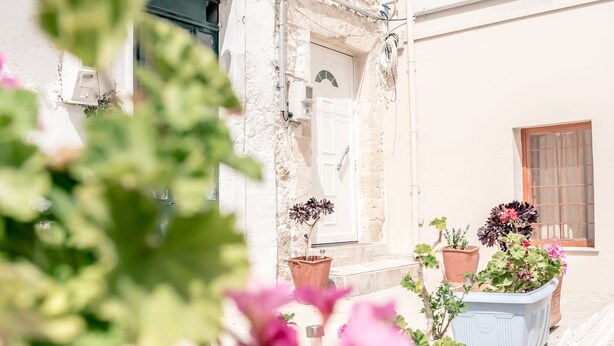 Una calle estrecha con edificios, plantas en macetas y una puerta.
