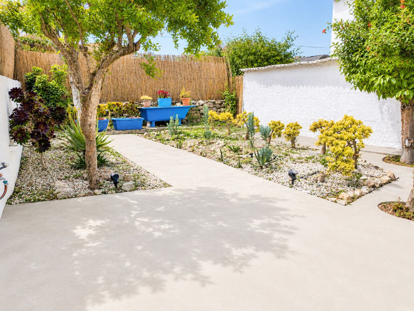 A garden with various plants, a pathway, and a blue container.