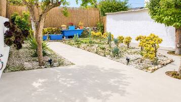 A garden with various plants, a pathway, and a blue container.
