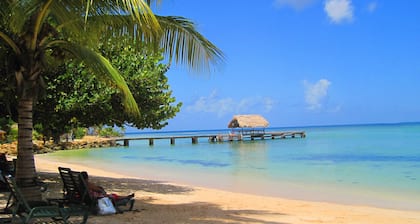 Private villa apartment with pool and within 15 minute walk to 3 beaches.