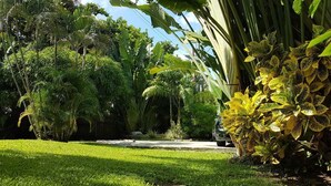 A lush garden with a variety of tropical plants and a well-maintained lawn. - Private villa apartment with pool and within 15 minute walk to 3 beaches. (Bon Accord)
