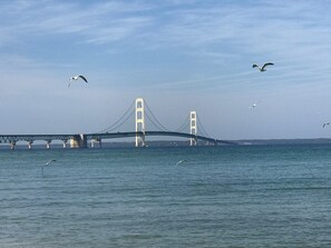 A large suspension bridge over a body of water with several birds flying around.