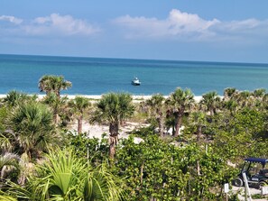 Enjoy stunning ocean views from this beachfront property, surrounded by lush greenery and palm trees.