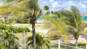 A fenced garden with palm trees and a clear sky. - Princess Manon, Beachfront, Feet in water,  Ocean view, Pool (Saint-Martin)