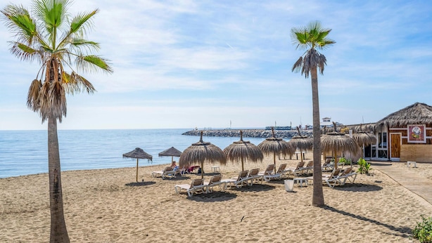 A beach with palm trees, sun loungers, thatched umbrellas, and a building with a sign.