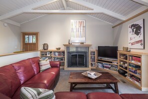 TV, fireplace, DVD player, books