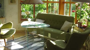 Televisión, chimenea, reproductor de DVD y tenis de mesa