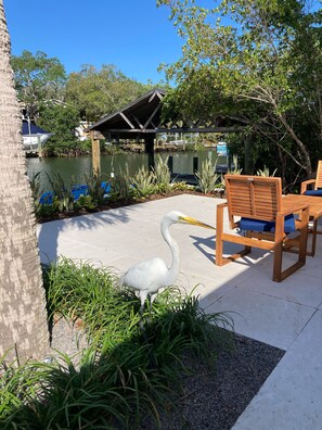 A wooden deck with a table and chairs, a wooden pergola, and a body of water with boats in the background. - Mid-Century Meets Boaters’ Dream (Siesta Key)