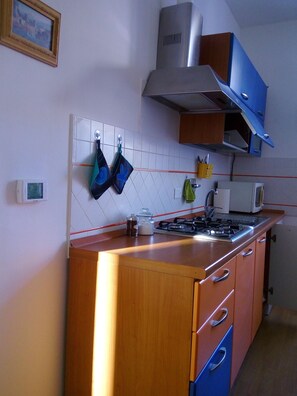 Kjøleskap, mikrobølgeovn, kokeplater og kaffetrakter/tekoker