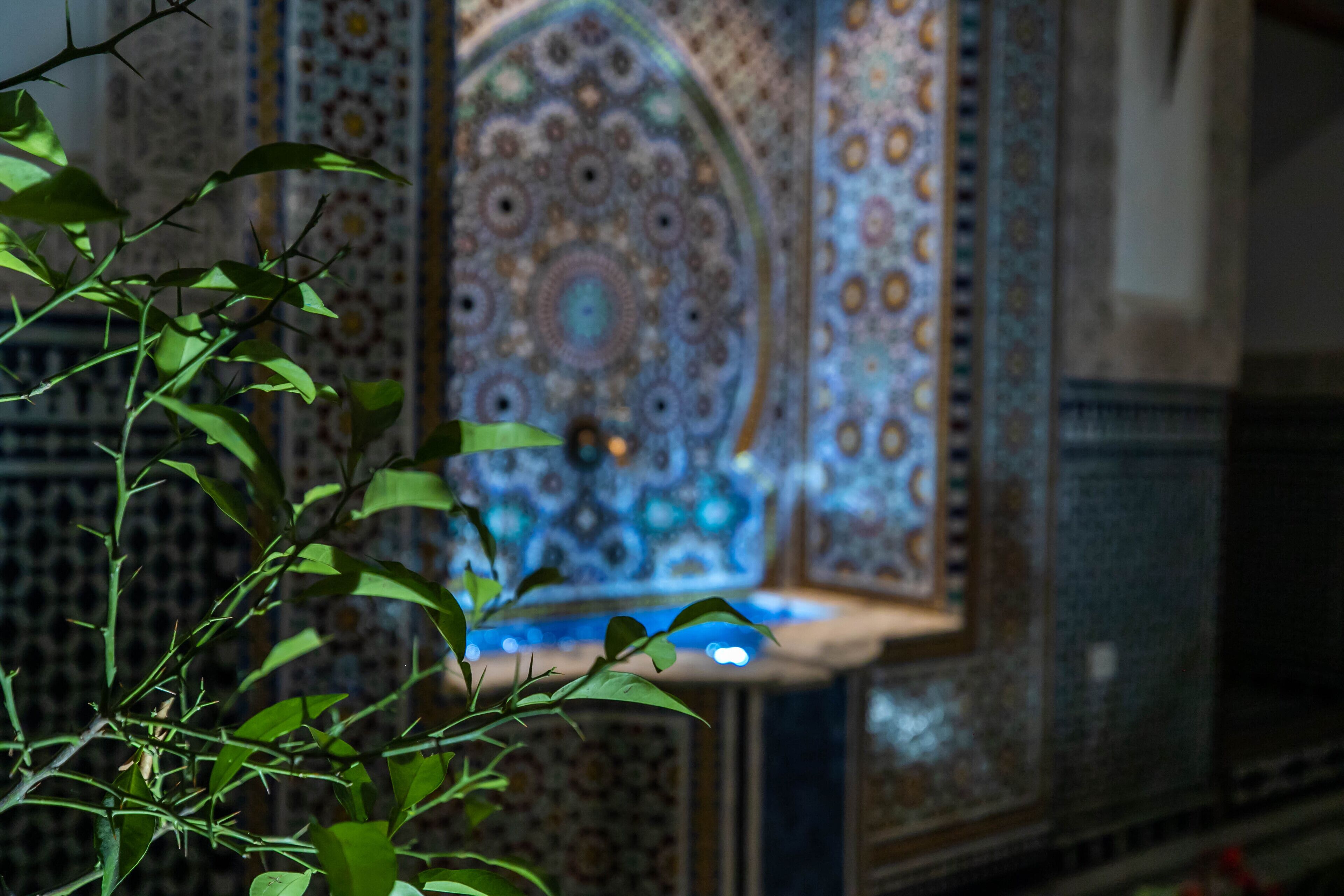 Foto - Riad Sidrat Fes