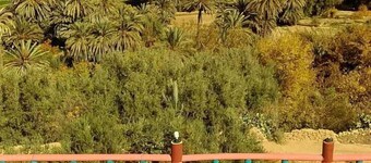 Kasbah Omari Panoramique