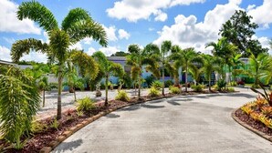 A paved pathway lined with palm trees and various plants, leading to a building with a blue and green facade.