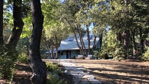 A stone pathway leading to a house surrounded by trees. - Modern and rustic cabin in a beautiful secluded setting (Idyllwild-Pine Cove)