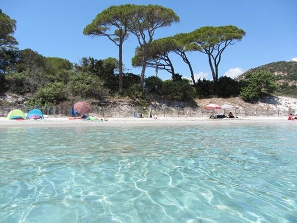 A beach with clear water, tents, and trees.