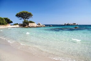 A beach with clear turquoise water, a large tree, and rocky outcrops.