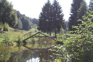 المنطقة المحيطة بالمنشأة