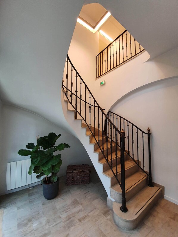 A spiral staircase with black balusters and a white wall. A large potted plant is on the left, and a wicker basket is on the floor. - Gîte Les Arches (Beauvallon)